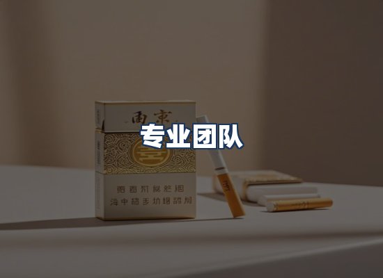 专业团队